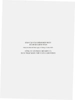 Báo cáo tài chính hợp nhất năm 2010 (đã kiểm toán) - Công ty Cổ phần Chế biến và Xuất nhập khẩu Thủy sản CADOVIMEX