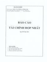Báo cáo tài chính hợp nhất quý 3 năm 2011 - Công ty Cổ phần Đầu tư Alphanam