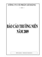 Báo cáo thường niên năm 2009 - Công ty Cổ phần Gò Đàng
