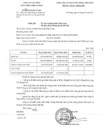 Báo cáo tài chính quý 2 năm 2015 - Công ty Cổ phần Thủy điện miền Trung