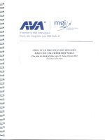 Báo cáo tài chính hợp nhất năm 2012 (đã kiểm toán) - Công ty cổ phần Phân bón Bình Điền