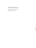 Báo cáo tài chính công ty mẹ quý 2 năm 2014 (đã kiểm toán) - CTCP Âu Lạc