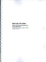 Báo cáo tài chính năm 2014 (đã kiểm toán) - Công ty Cổ phần Chế tạo Biến thế và Vật liệu điện Hà Nội