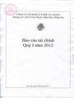 Báo cáo tài chính quý 1 năm 2012 - Công ty Cổ phần Cà phê An Giang