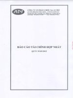Báo cáo tài chính hợp nhất quý 1 năm 2012 - Công ty Cổ phần Chiếu xạ An Phú