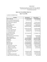 Báo cáo tài chính quý 4 năm 2009 - Công ty Cổ phần Xi măng Bỉm Sơn