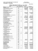 Báo cáo tài chính quý 1 năm 2012 - Công ty Cổ phần Chế tạo Biến thế và Vật liệu điện Hà Nội