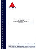 Báo cáo tài chính công ty mẹ năm 2013 (đã kiểm toán) - Công ty Cổ phần Alphanam E&C