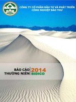 Báo cáo thường niên năm 2014 - Công ty cổ phần Đầu tư và Phát triển Công nghiệp Bảo Thư