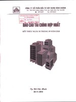 Báo cáo tài chính hợp nhất quý 3 năm 2010 - Công ty Cổ phần Đầu tư Xây dựng Bình Chánh