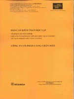 Báo cáo tài chính năm 2015 (đã kiểm toán) - CTCP Cảng Chân Mây