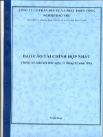 Báo cáo tài chính hợp nhất quý 1 năm 2016 - Công ty cổ phần Đầu tư và Phát triển Công nghiệp Bảo Thư