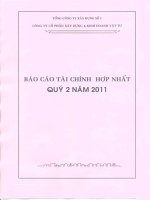 Báo cáo tài chính hợp nhất quý 2 năm 2011 - Công ty Cổ phần Xây dựng và Kinh doanh Vật tư