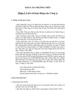 Báo cáo thường niên năm 2010 - Công ty Cổ phần Chế tạo Biến thế và Vật liệu điện Hà Nội