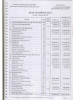 Báo cáo tài chính năm 2007 - Công ty Cổ phần Chế biến và Xuất nhập khẩu Thủy sản CADOVIMEX