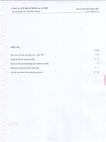 Báo cáo tài chính hợp nhất quý 1 năm 2014 - Công ty Cổ phần Chiếu xạ An Phú