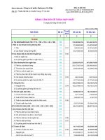 Báo cáo tài chính hợp nhất quý 3 năm 2010 - Công ty Cổ phần Alphanam E&C