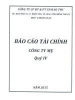 Báo cáo tài chính công ty mẹ quý 4 năm 2015 - Công ty cổ phần Đầu tư và Phát triển Công nghiệp Bảo Thư