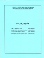 Báo cáo tài chính quý 1 năm 2015 - Công ty cổ phần Khoáng sản Bình Định