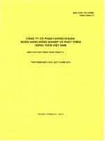 Báo cáo tài chính quý 2 năm 2013 - Công ty Cổ phần Chứng khoán Nông nghiệp và Phát triển Nông thôn