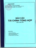 Báo cáo tài chính công ty mẹ quý 2 năm 2013 - Công ty Cổ phần Đầu tư Alphanam