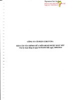 Báo cáo tài chính quý 2 năm 2014 (đã soát xét) - Công ty Cổ phần COKYVINA
