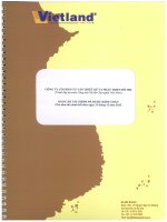 Báo cáo tài chính năm 2013 (đã kiểm toán) - Công ty Cổ phần Tư vấn thiết kế và Phát triển đô thị