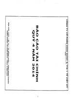 Báo cáo tài chính công ty mẹ quý 4 năm 2014 - CTCP Sản xuất Kinh doanh Dược và Trang thiết bị Y tế Việt Mỹ