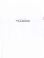 Báo cáo tài chính công ty mẹ quý 1 năm 2016 - Công ty cổ phần Đầu tư AMD Group