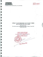 Báo cáo tài chính năm 2010 (đã kiểm toán) - Công ty cổ phần Đầu tư và Phát triển Đô thị Dầu khí Cửu Long