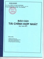 Báo cáo tài chính hợp nhất quý 1 năm 2013 - Công ty Cổ phần Đầu tư Alphanam