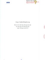 Báo cáo tài chính hợp nhất quý 2 năm 2015 (đã soát xét) - Công ty Cổ phần Đồ hộp Hạ Long