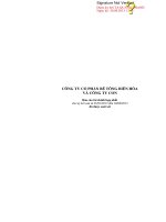 Báo cáo tài chính hợp nhất quý 2 năm 2013 (đã soát xét) - Công ty Cổ phần Bê tông Biên Hòa
