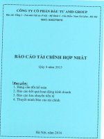 Báo cáo tài chính hợp nhất quý 4 năm 2015 - Công ty cổ phần Đầu tư AMD Group