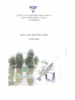 Báo cáo thường niên năm 2012 - Công ty Cổ phần Chế biến và Xuất nhập khẩu Thuỷ sản Cà Mau