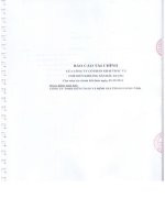 Báo cáo tài chính năm 2014 (đã kiểm toán) - Công ty Cổ phần Khai thác và Chế biến Khoáng sản Bắc Giang