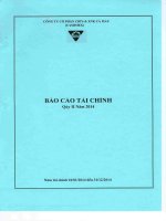 Báo cáo tài chính công ty mẹ quý 2 năm 2014 - Công ty Cổ phần Chế biến và Xuất nhập khẩu Thuỷ sản Cà Mau