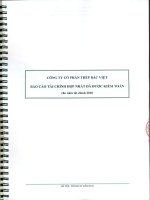 Báo cáo tài chính hợp nhất năm 2010 - Công ty Cổ phần Đầu tư BVG