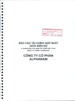 Báo cáo tài chính quý 2 năm 2010 (đã kiểm toán) - Công ty Cổ phần Đầu tư Alphanam