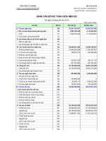 Báo cáo tài chính quý 2 năm 2010 - Công ty cổ phần Vicem Bao bì Bỉm Sơn