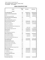 Báo cáo tài chính quý 1 năm 2012 - Công ty Cổ phần Đầu tư Xây dựng Bạch Đằng TMC