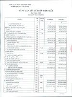 Báo cáo tài chính hợp nhất quý 2 năm 2012 - Công ty Cổ phần Nhựa Bình Minh