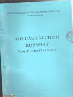 Báo cáo tài chính hợp nhất quý 4 năm 2015 - Công ty Cổ phần Đầu tư Châu Á - Thái Bình Dương