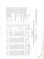 Báo cáo KQKD công ty mẹ quý 4 năm 2010 - Công ty Cổ phần Công nghệ Mạng và Truyền thông