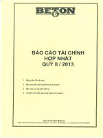 Báo cáo tài chính hợp nhất quý 2 năm 2013 - Công ty Cổ phần Beton 6