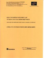 Báo cáo tài chính hợp nhất năm 2015 (đã kiểm toán) - Công ty cổ phần Phân bón Bình Điền