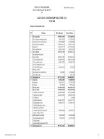 Báo cáo tài chính năm 2008 - Công ty Cổ phần Nhựa Bình Minh