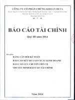 Báo cáo tài chính quý 3 năm 2014 - Công ty Cổ phần Chứng khoán BETA