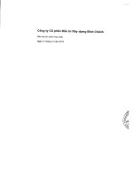 Báo cáo tài chính hợp nhất năm 2015 (đã kiểm toán) - Công ty Cổ phần Đầu tư Xây dựng Bình Chánh