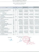 Báo cáo KQKD công ty mẹ quý 4 năm 2012 - Công ty Cổ phần Đầu tư Alphanam